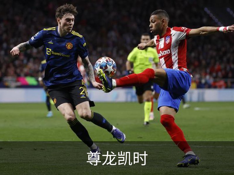关于尊龙凯时